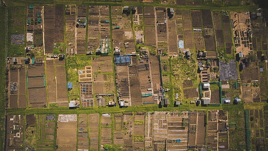aerial view of village at daytime thumbnail