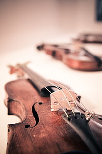 brown violin in macroshot photography thumbnail