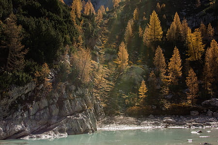 body of water near hill with forest thumbnail