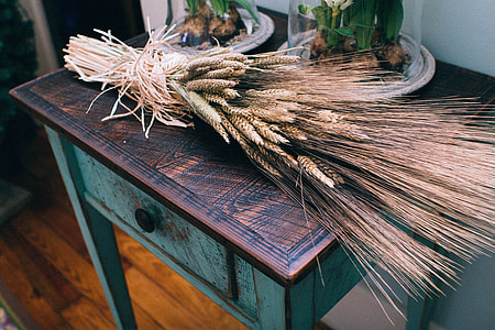 brown plant on table thumbnail