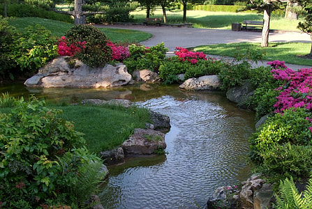 pond surrounded by plants thumbnail