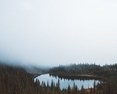 lake and forest covered with fog thumbnail