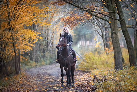 woman riding horse thumbnail