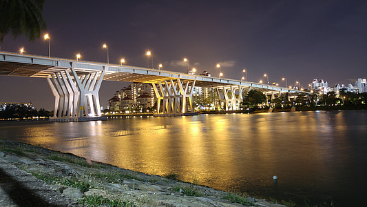 gray concrete bridge during night time thumbnail