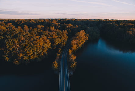 bird's-eye photography of road near field of trees thumbnail