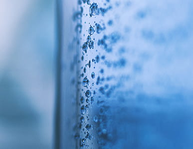selective focus photography of dew on glass thumbnail
