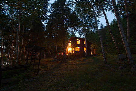 photo of house surrounded by trees thumbnail