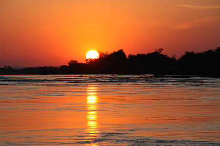 trees silhouette near sea at golden hour thumbnail