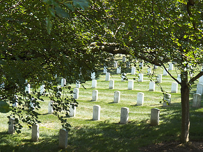 Arlington National Cemetery, Honor thumbnail