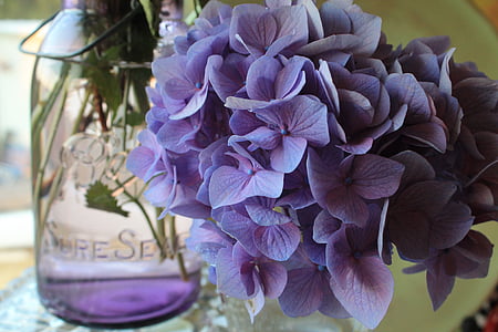 purple Hydrangea flower arrangement thumbnail