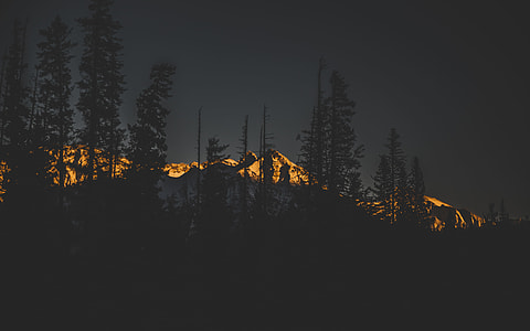 silhouette of trees near white mountain during sunset thumbnail