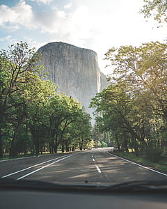 empty road between trees during daytime thumbnail