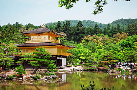 brown and white pagoda thumbnail