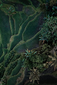 aerial photography of land mass thumbnail