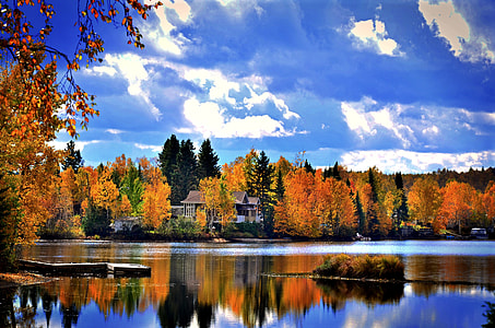 wooden house in forest beside a river under blue sky thumbnail
