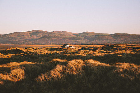 photograph of wheat field thumbnail