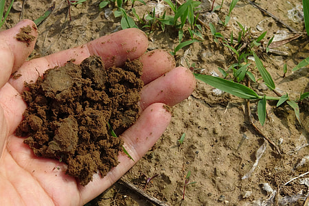 dirt on person's left palm thumbnail