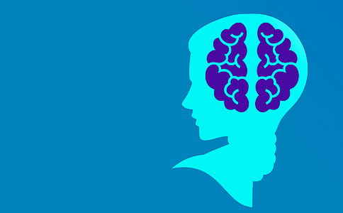 Illustration of brain - ideas come from brainstorming. Innovation and change disrupts business environments in a positive way. thumbnail