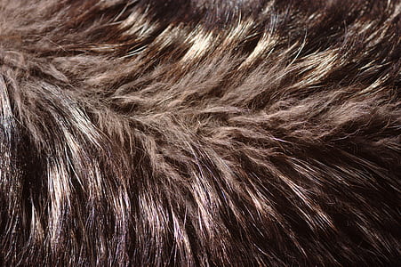 brown and black hair thumbnail