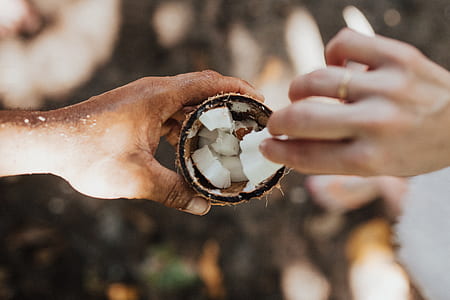 person holding coconut thumbnail