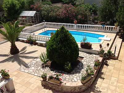 green topiary plant beside pool at daytime thumbnail