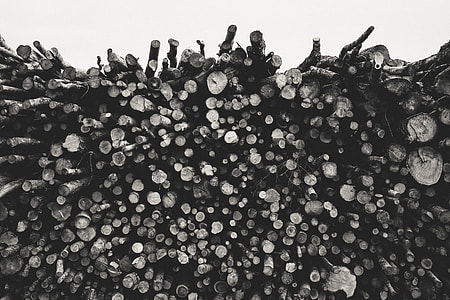 Pile of logs thumbnail
