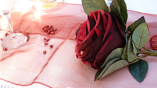 red rose thumbnail