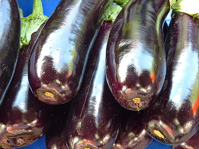 pile of eggplants thumbnail