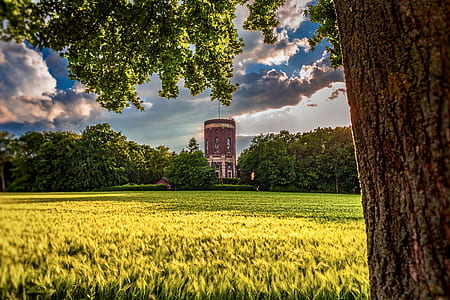 brown concrete tower surrounded with trees thumbnail