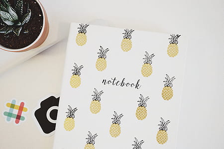 pineapple print notebook thumbnail