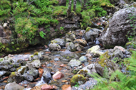 Scotland, Hidden Valley Ballachulish thumbnail