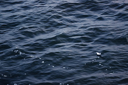 body of water during daytime thumbnail