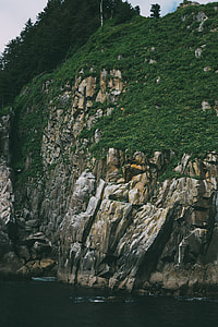 brown rock formation surrounded by green plants and trees thumbnail