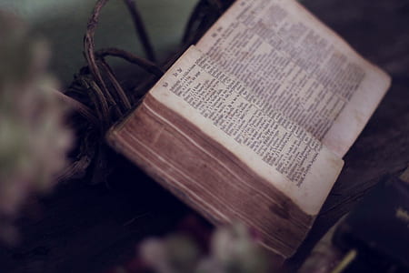 shallow focus photography of book thumbnail