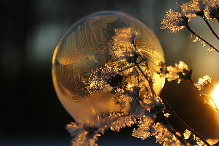 clear winter globe thumbnail