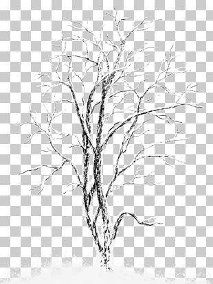 Snow Tree Stock photography, Winter Snowy Tree , white tree illustration PNG clipart