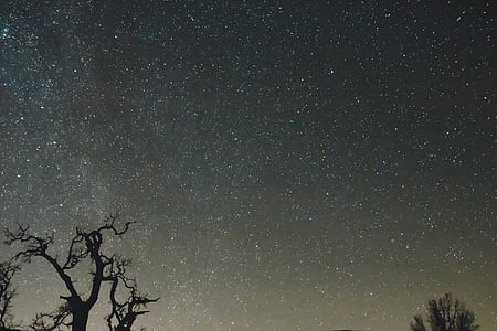 stars thumbnail