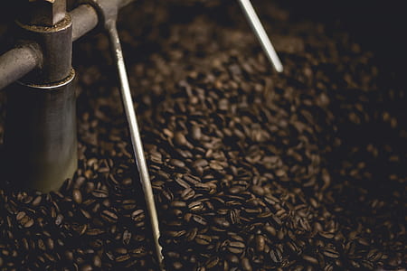 brown coffee beans thumbnail