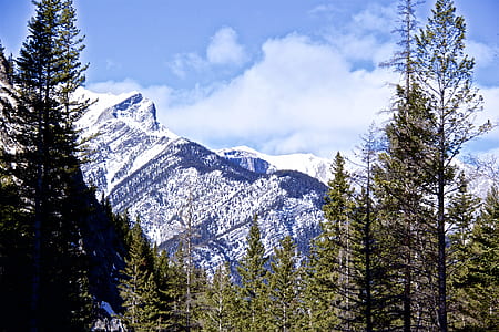 landscape photography of mountains under blue sky thumbnail