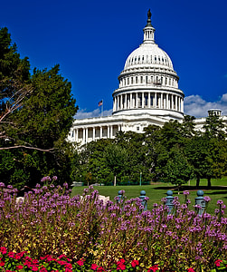 White House, USA thumbnail