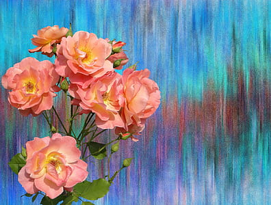 pink petaled flowers thumbnail