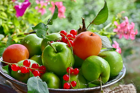 shallow focus photography of green and red apples thumbnail