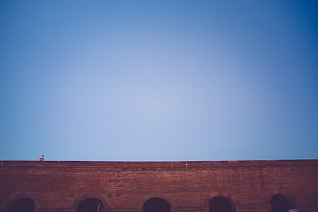 brown concrete wall thumbnail