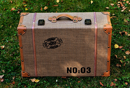 gray suitcase on grass field thumbnail