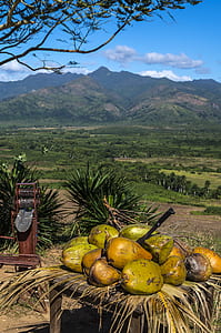 coconut shells on table thumbnail