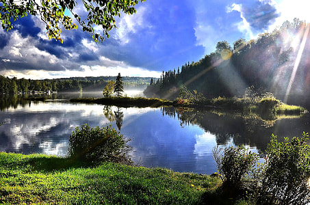 body of water surrounded by trees during daytime thumbnail