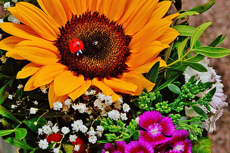 sunflower, white baby's-breath, and pink maiden pink flower bouquet thumbnail