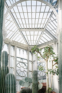 white green house with green cactus thumbnail