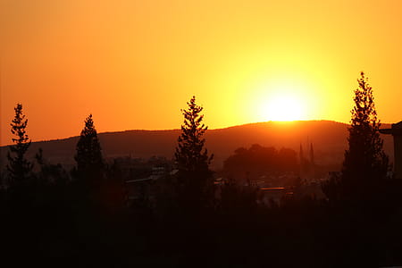 Silhouette of Trees During Sunset thumbnail