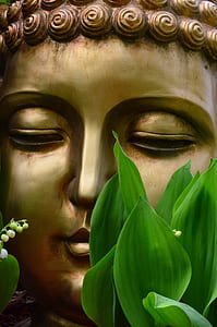 gold Buddha bust statue behind green leafed plant thumbnail